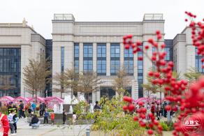 北理莫斯科大学&龙岗迎春花市