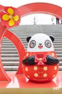 北理莫斯科大学&龙岗迎春花市