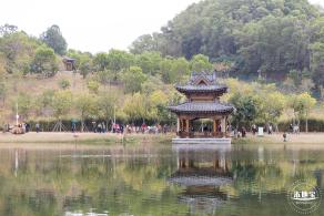 北理莫斯科大学&龙岗迎春花市