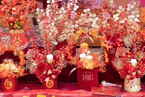北理莫斯科大学&龙岗迎春花市