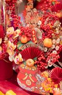 北理莫斯科大学&龙岗迎春花市