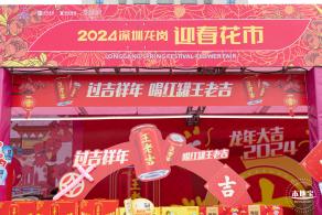 北理莫斯科大学&龙岗迎春花市