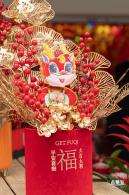 荷兰花卉小镇郁金香