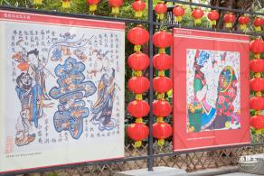 观澜油菜花海