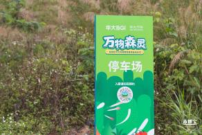 华大万物-油菜花