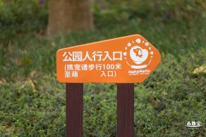 云曦萌宠绿地小游园
