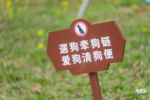 云曦萌宠绿地小游园