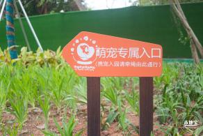 云曦萌宠绿地小游园
