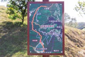 小三洲樱花