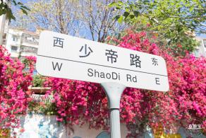 华英路花海