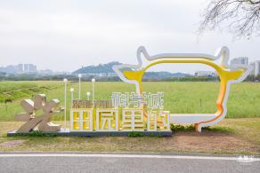 光明油菜花