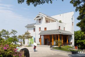 梧桐山毛棉杜鹃花会