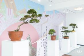 梧桐山毛棉杜鹃花会
