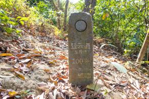 梧桐山毛棉杜鹃花会