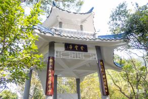 梧桐山毛棉杜鹃花会