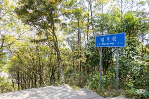 梧桐山毛棉杜鹃花会