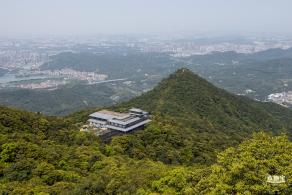 梧桐山毛棉杜鹃花会