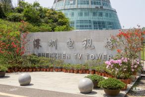 梧桐山毛棉杜鹃花会