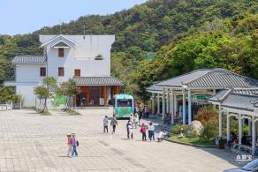 梧桐山毛棉杜鹃花会
