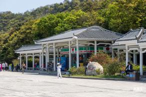 梧桐山毛棉杜鹃花会