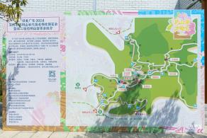 梧桐山毛棉杜鹃花会