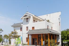 梧桐山毛棉杜鹃花会