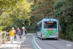 梧桐山毛棉杜鹃花会