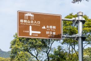 梧桐山毛棉杜鹃花会