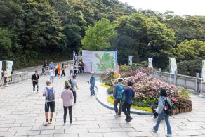 梧桐山毛棉杜鹃花会