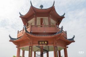 梧桐山毛棉杜鹃花会