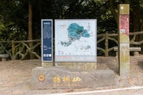 梧桐山毛棉杜鹃花会