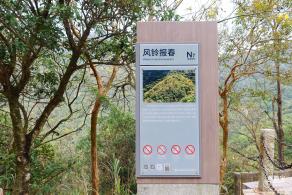 梧桐山毛棉杜鹃花会