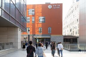 2024粤港澳大湾区花展