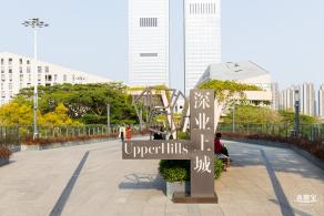 2024粤港澳大湾区花展