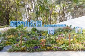 2024粤港澳大湾区花展