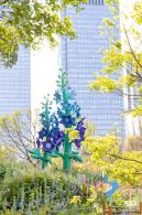 2024粤港澳大湾区花展