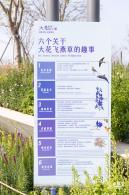 2024粤港澳大湾区花展