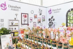 2024粤港澳大湾区花展