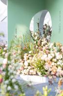 2024粤港澳大湾区花展