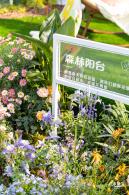 2024粤港澳大湾区花展