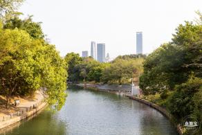 2024粤港澳大湾区花展