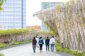 2024粤港澳大湾区花展