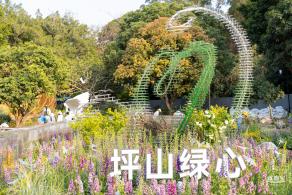 2024粤港澳大湾区花展