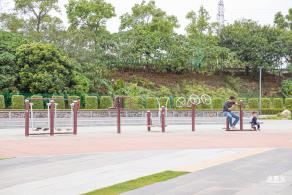 楼村湿地公园油菜花