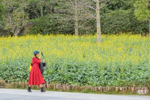 楼村湿地公园油菜花