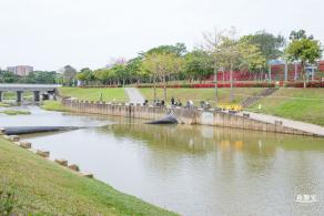 楼村湿地公园油菜花