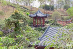玉龙公园花海
