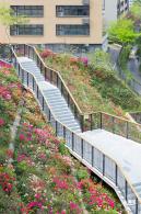 玉龙公园花海