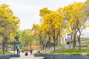 女蜗滨海公园花海