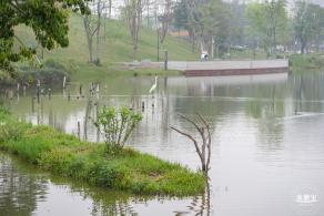 定岗湖湿地公园